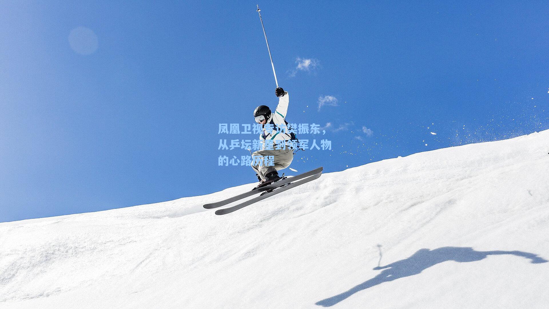 凤凰卫视专访樊振东,从乒坛新星到领军人物的心路历程