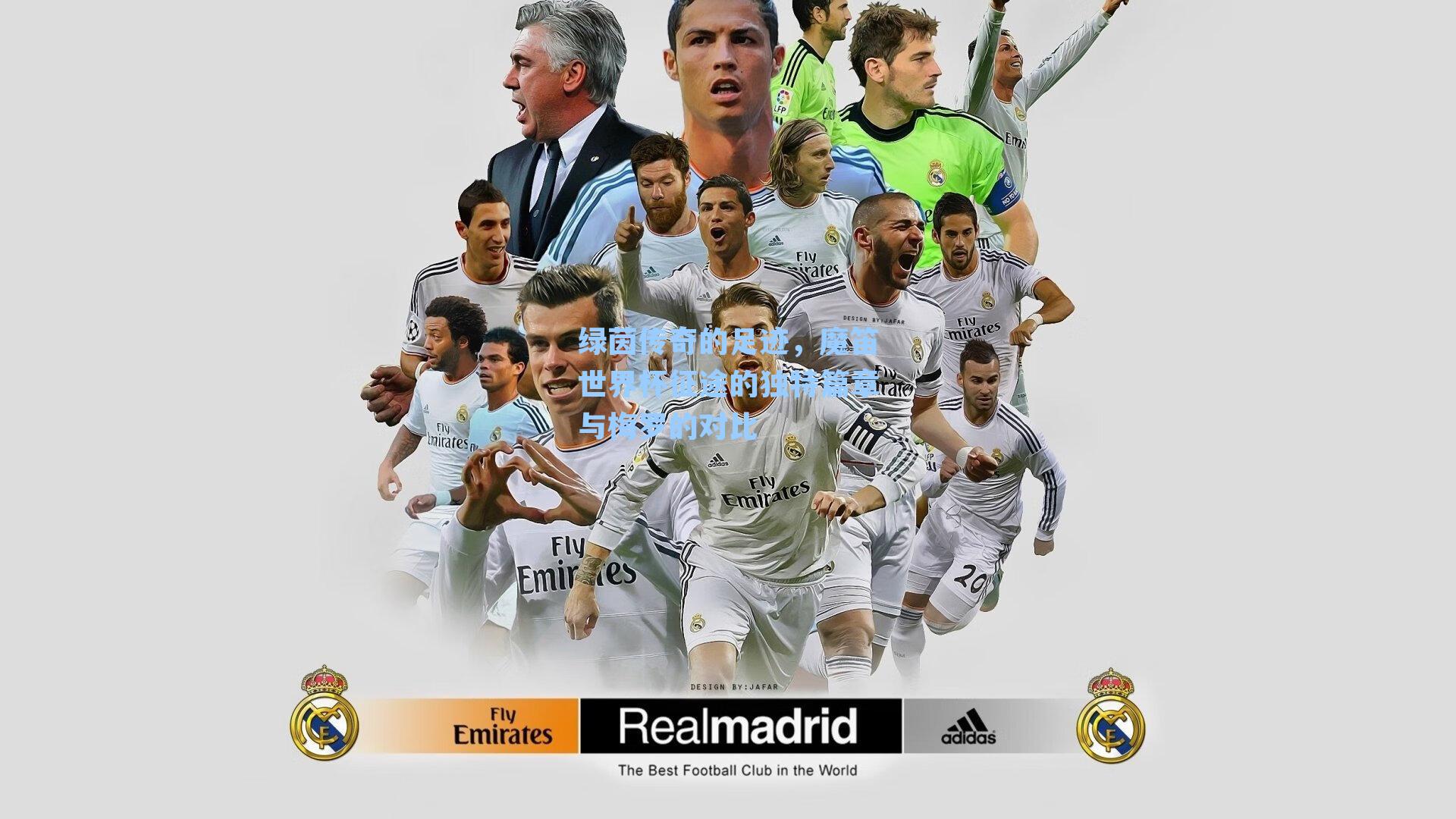 绿茵传奇的足迹，魔笛世界杯征途的独特篇章与梅罗的对比